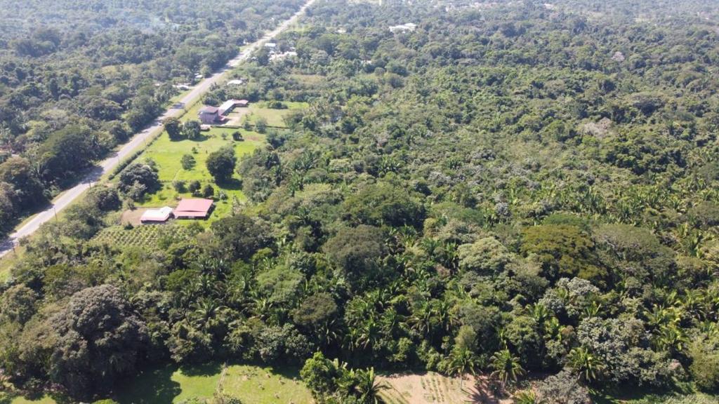 listing image with ID 64925