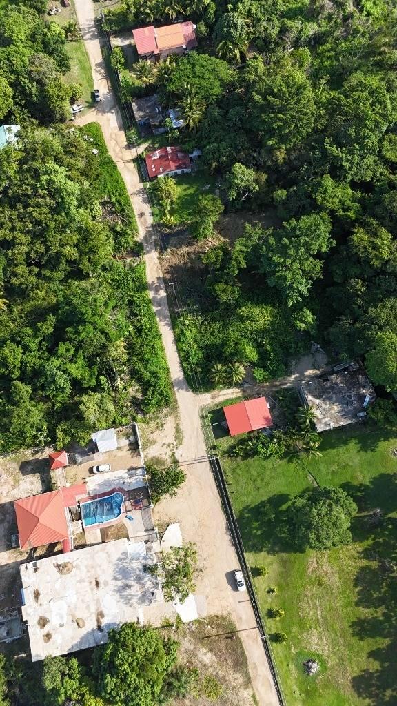 listing image with ID 64731