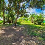 listing image thumbnail with ID 64388