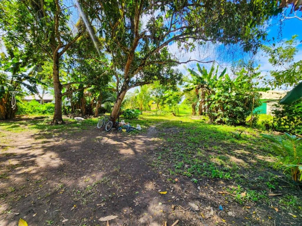 listing image with ID 64388