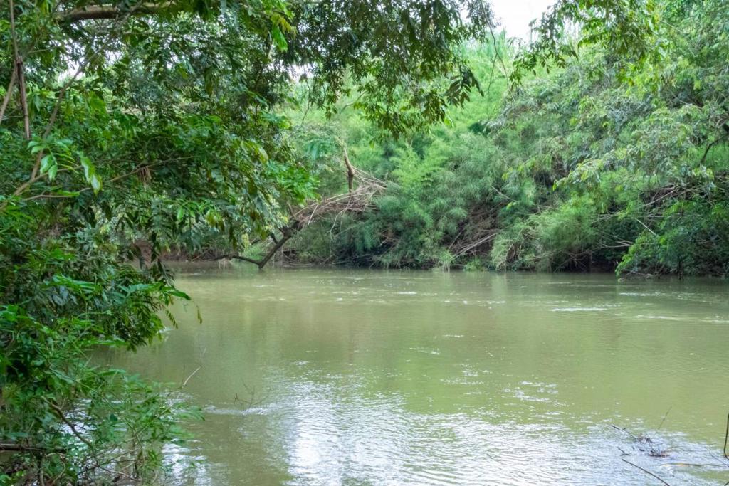 listing image with ID 67707