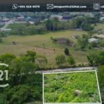 listing image thumbnail with ID 65143