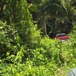 listing image thumbnail with ID 65229