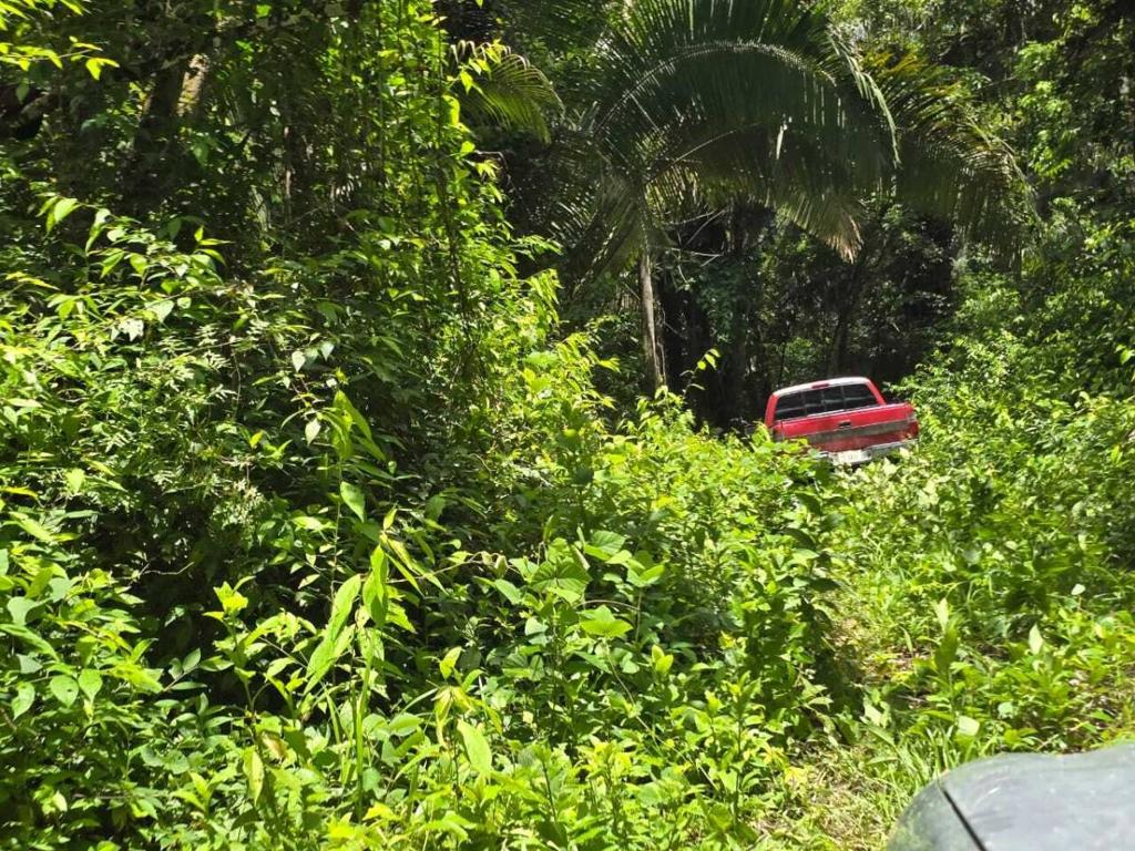 listing image with ID 65229