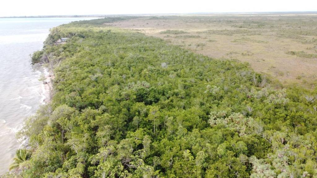 listing image with ID 64013