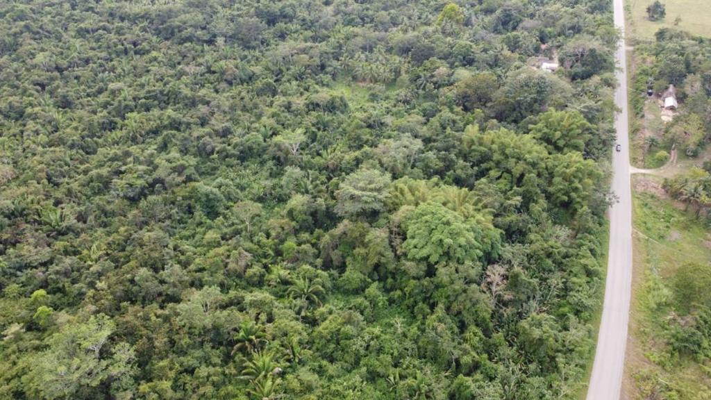 listing image with ID 65045