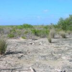 listing image thumbnail with ID 68100