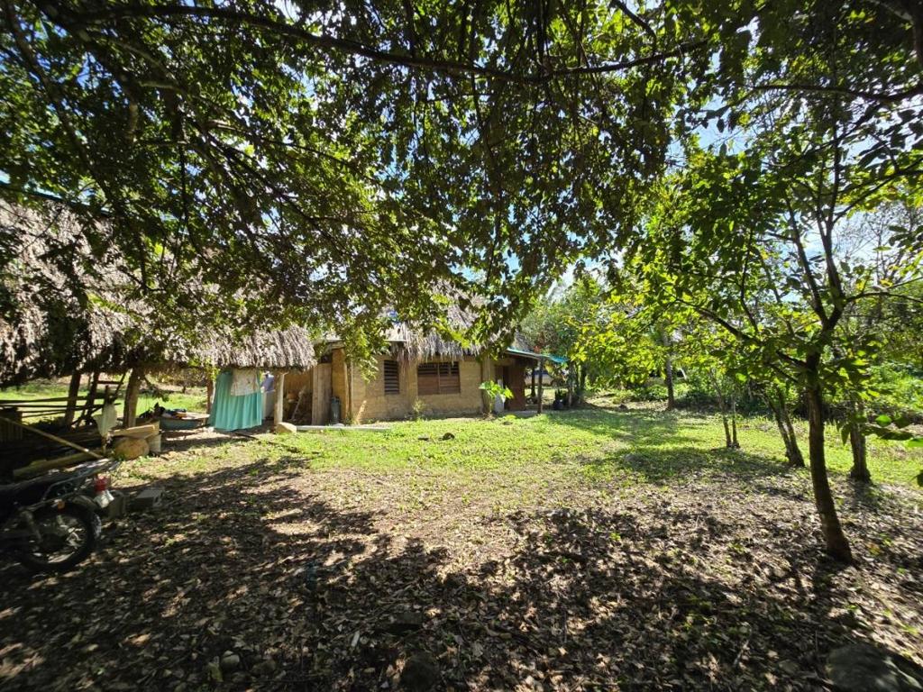 listing image with ID 66162