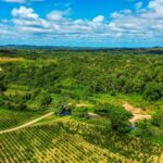 listing image thumbnail with ID 69119