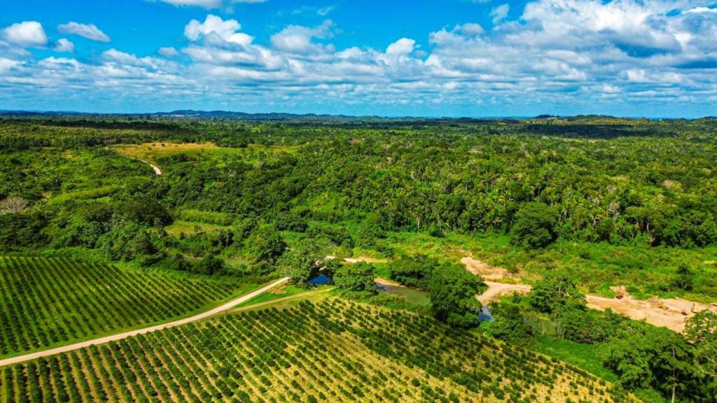 listing image with ID 69119