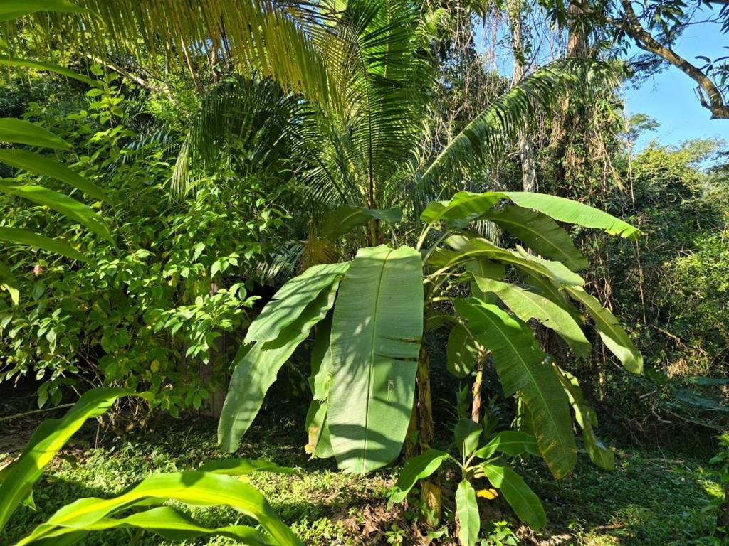 listing image with ID 64599