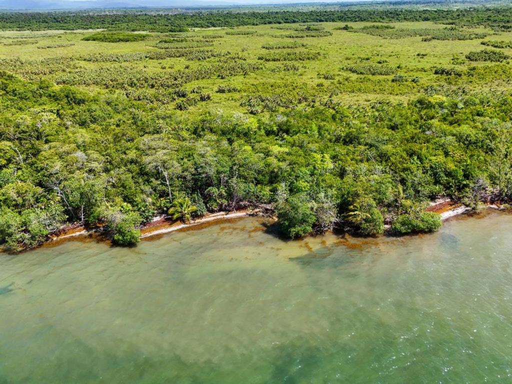 listing image with ID 63745