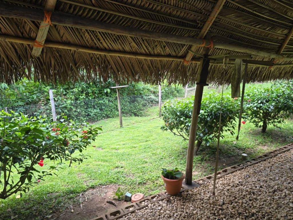 listing image with ID 68274