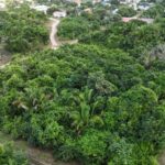 listing image thumbnail with ID 68224