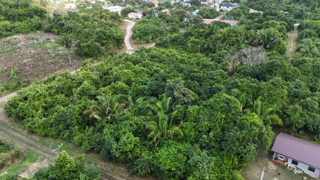 listing image with ID 68224