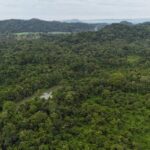 listing image thumbnail with ID 65444