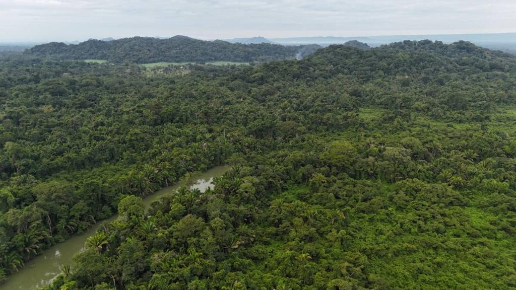 listing image with ID 65444