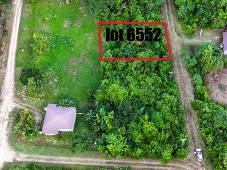 listing image with ID 64101