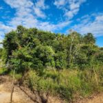 listing image thumbnail with ID 63855