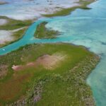 listing image thumbnail with ID 65986