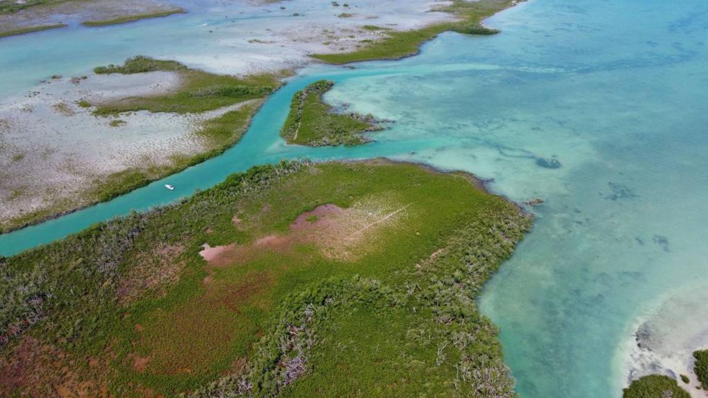 listing image with ID 65986