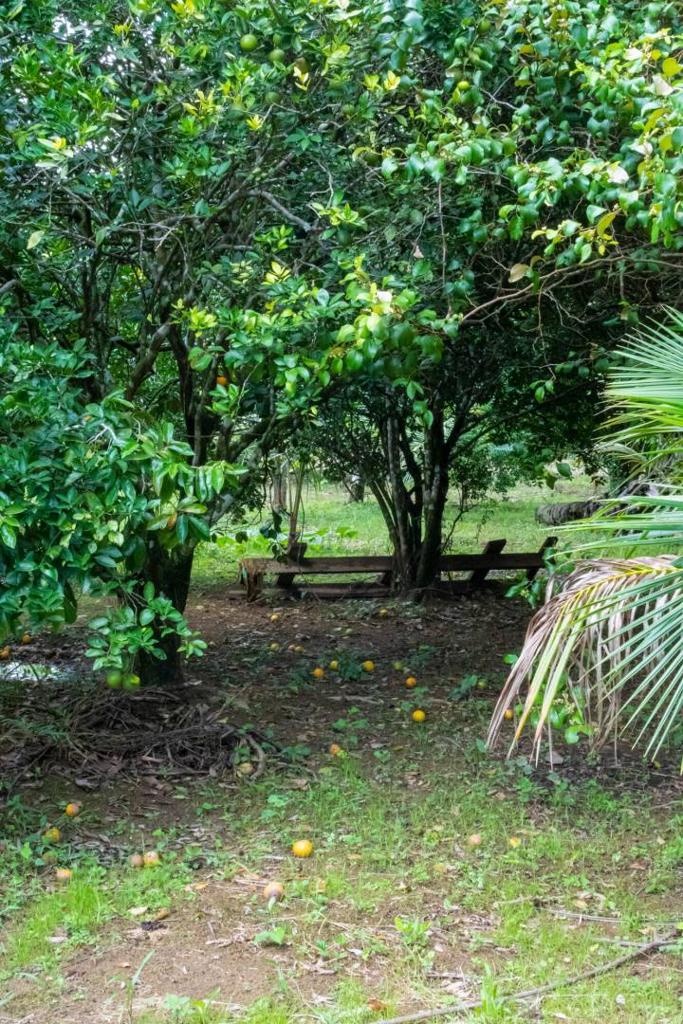 listing image with ID 67701