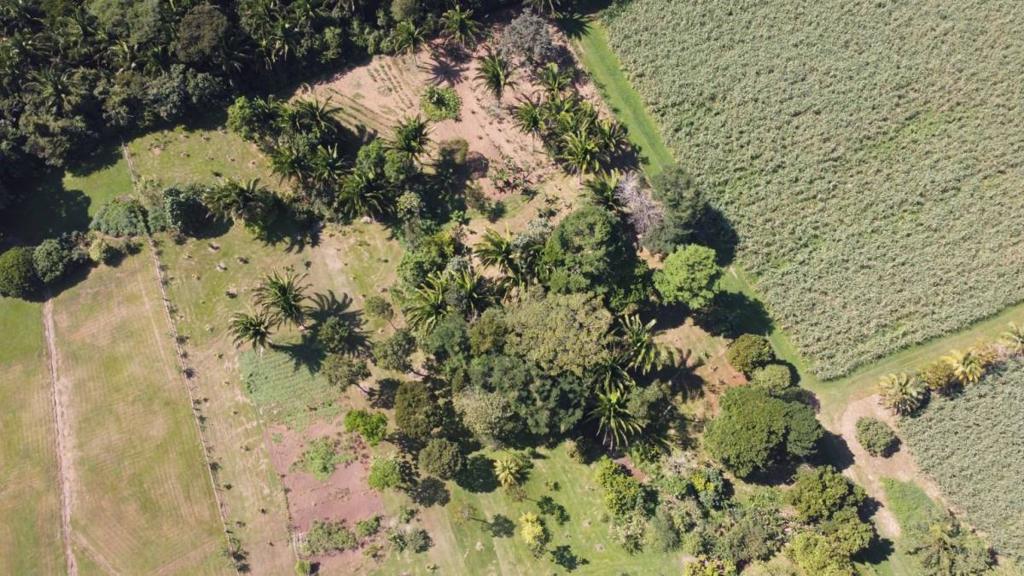 listing image with ID 64927