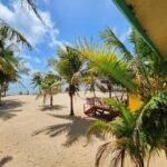 listing image thumbnail with ID 65739