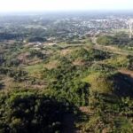 listing image thumbnail with ID 65199