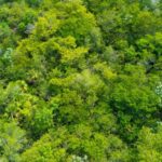 listing image thumbnail with ID 67328