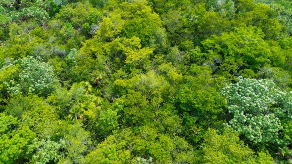 listing image with ID 67328