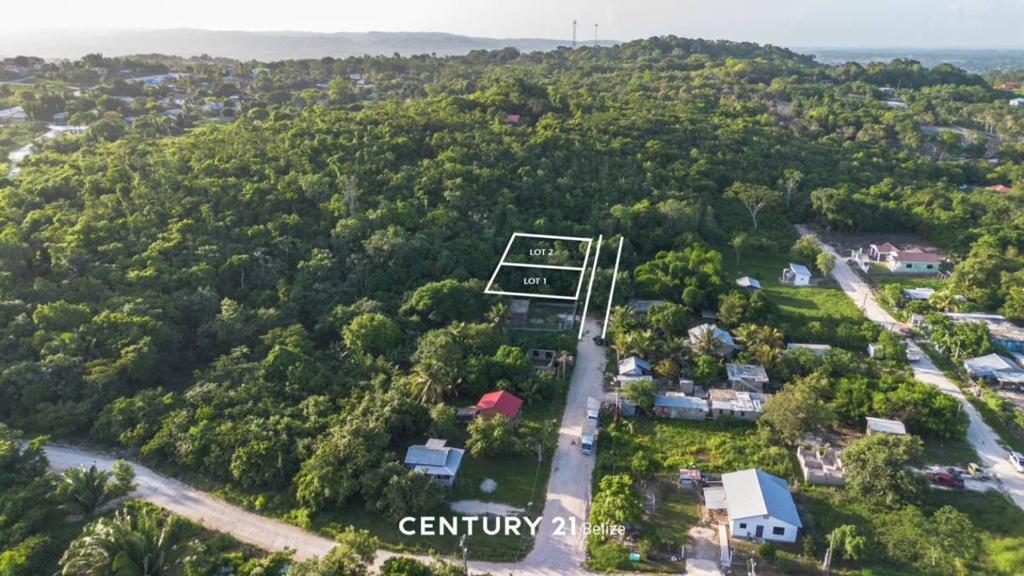 listing image with ID 65060