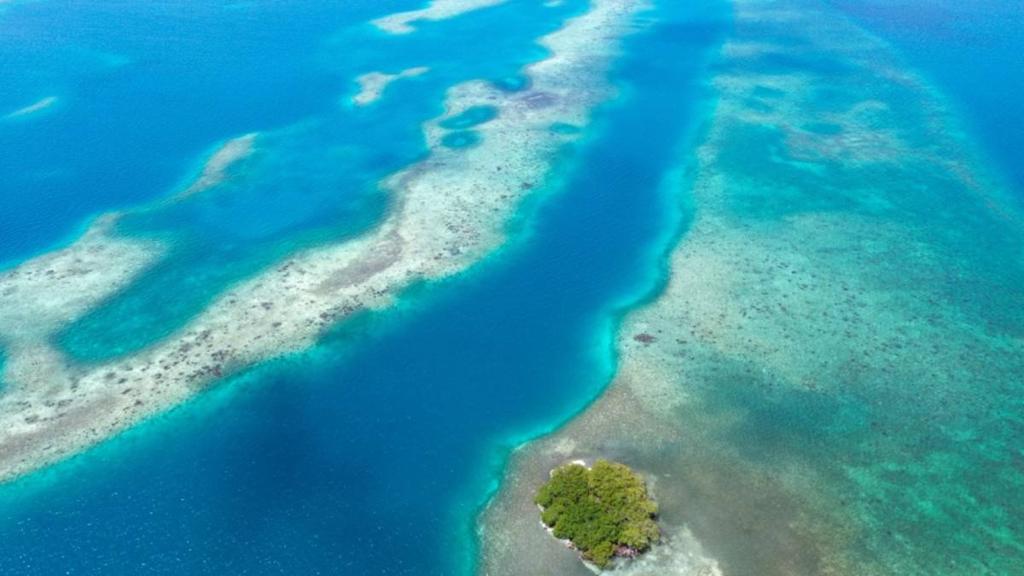 listing image with ID 65074