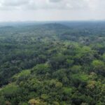 listing image thumbnail with ID 69183