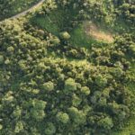 listing image thumbnail with ID 66885