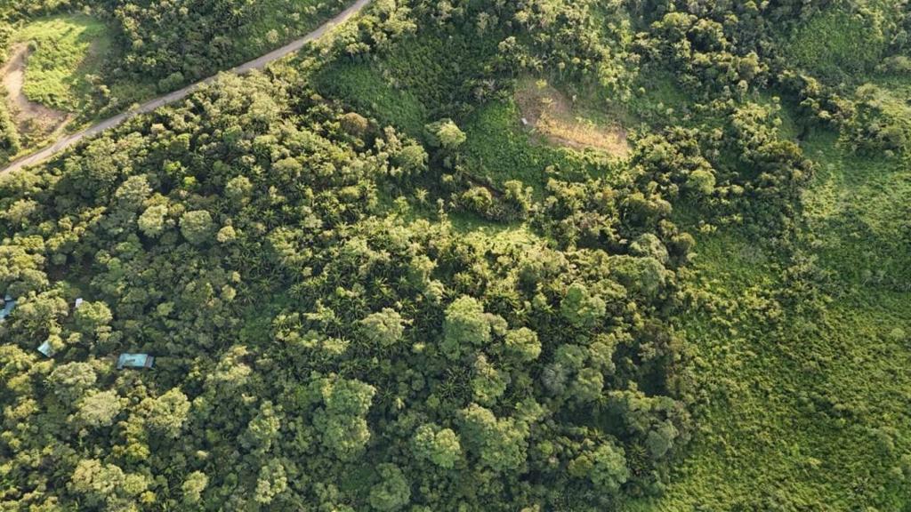 listing image with ID 66885