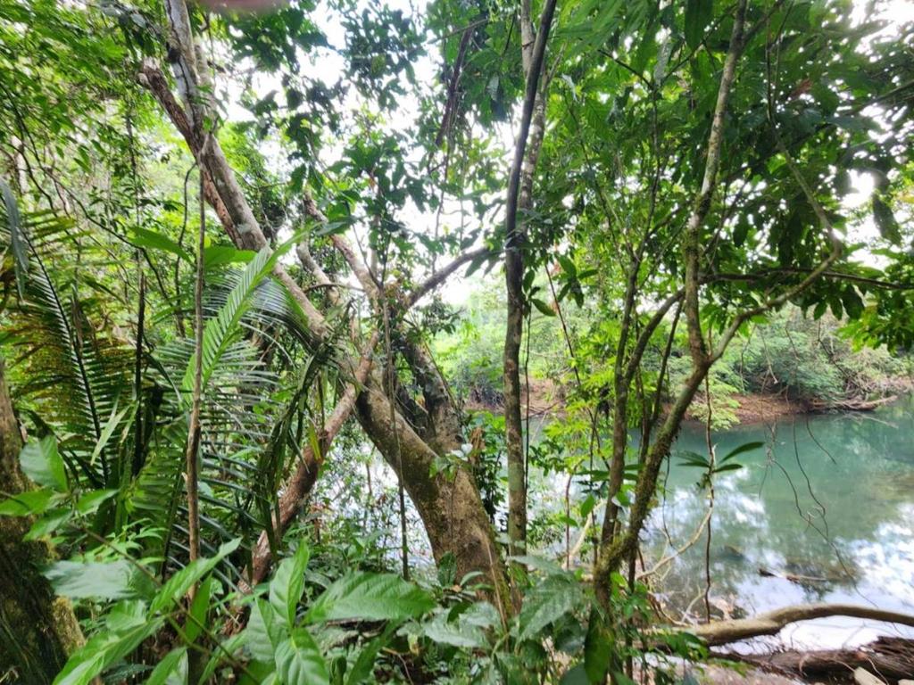 listing image with ID 69194