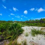 listing image thumbnail with ID 68258