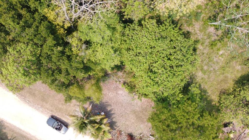 listing image with ID 65117