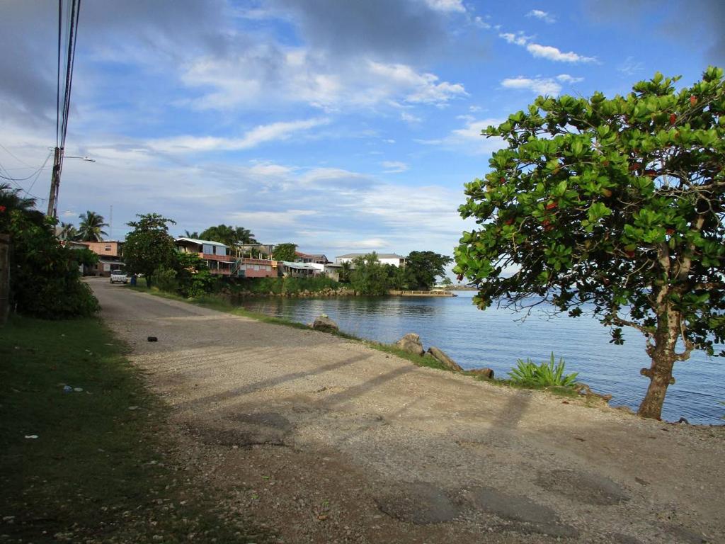 listing image with ID 64172