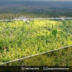 listing image thumbnail with ID 65164