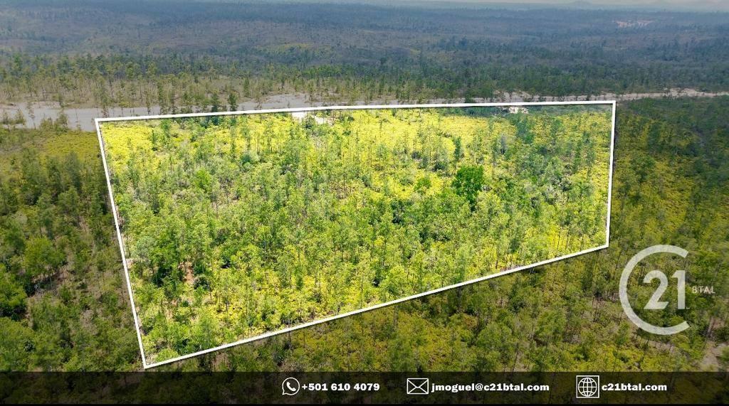 listing image with ID 65164