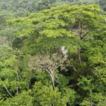 listing image thumbnail with ID 66279