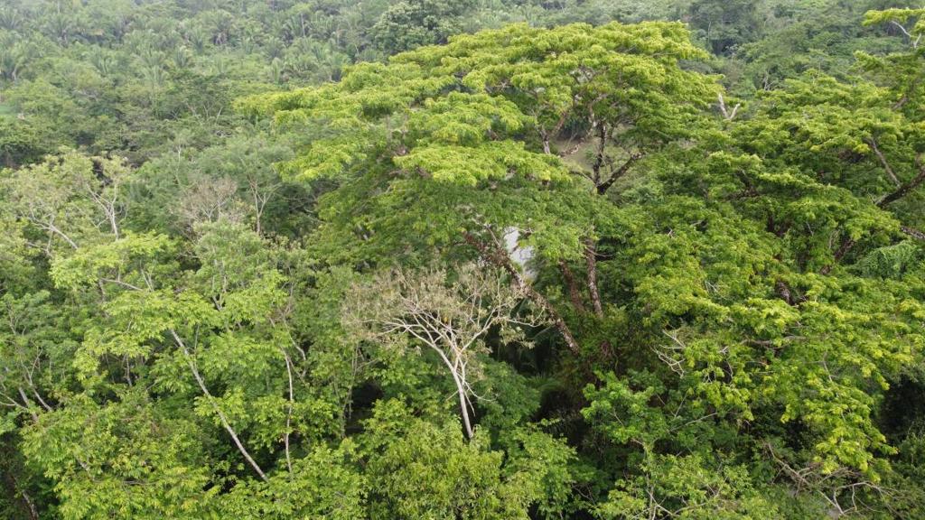 listing image with ID 66279