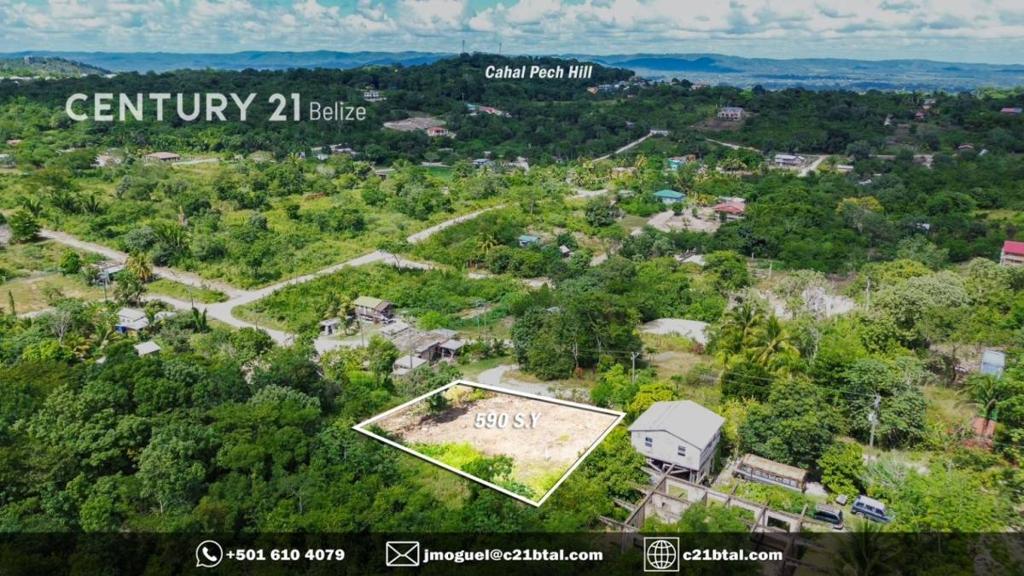 listing image with ID 65423