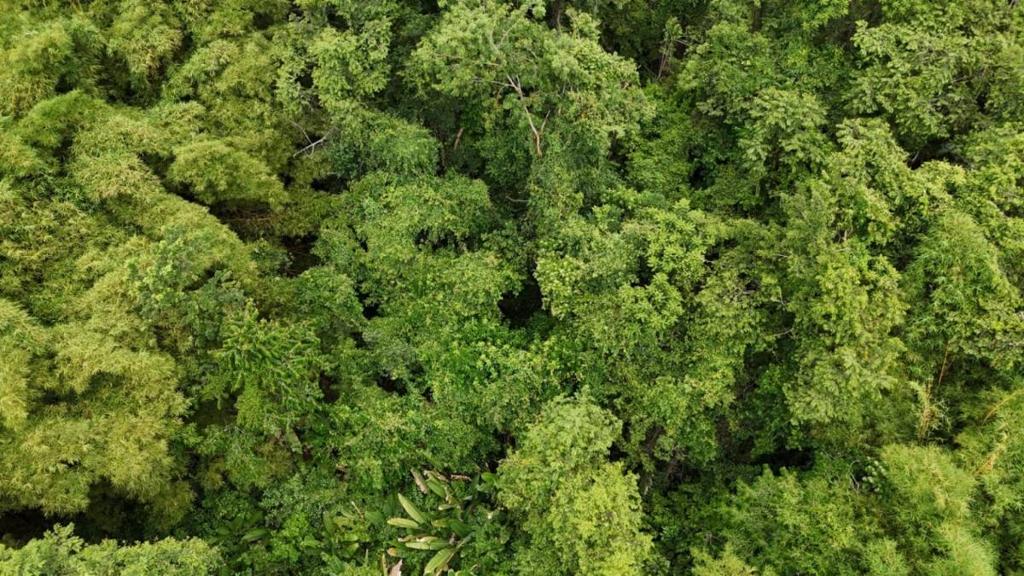 listing image with ID 67090