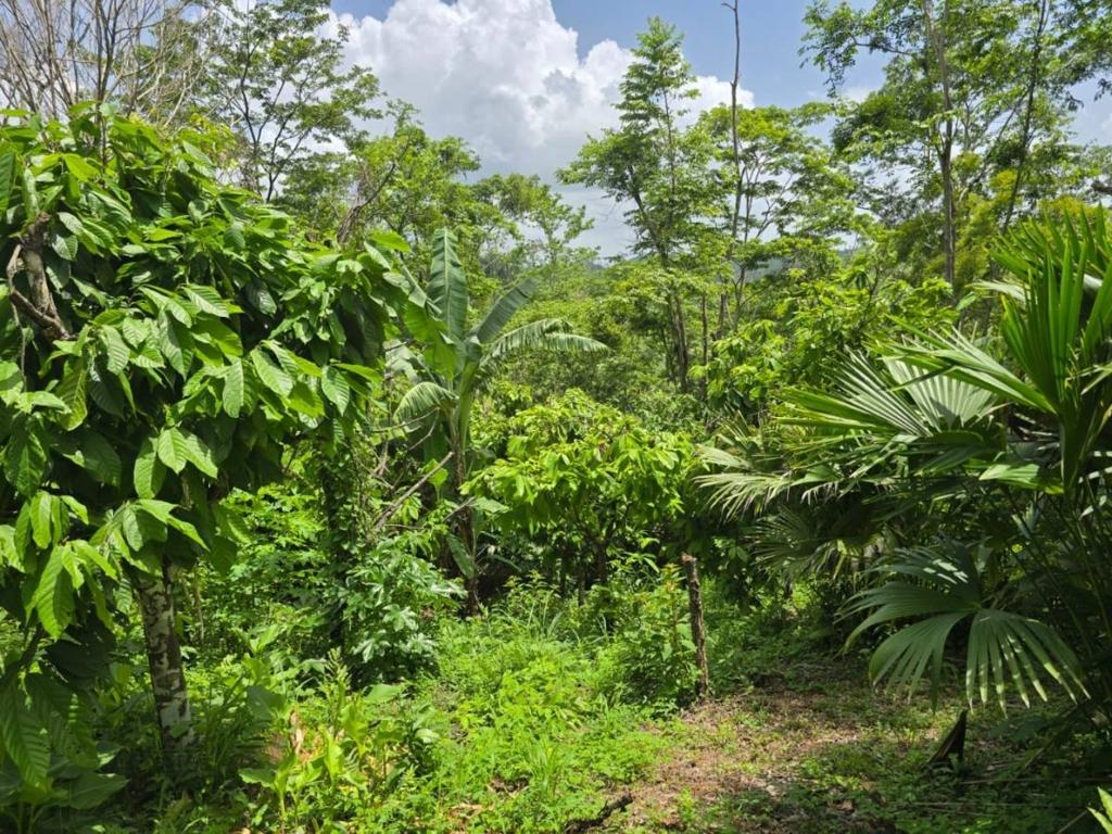 listing image with ID 68263