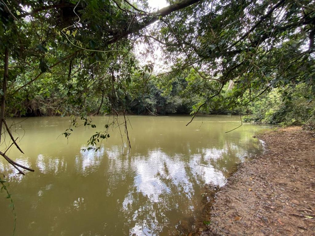 listing image with ID 67705