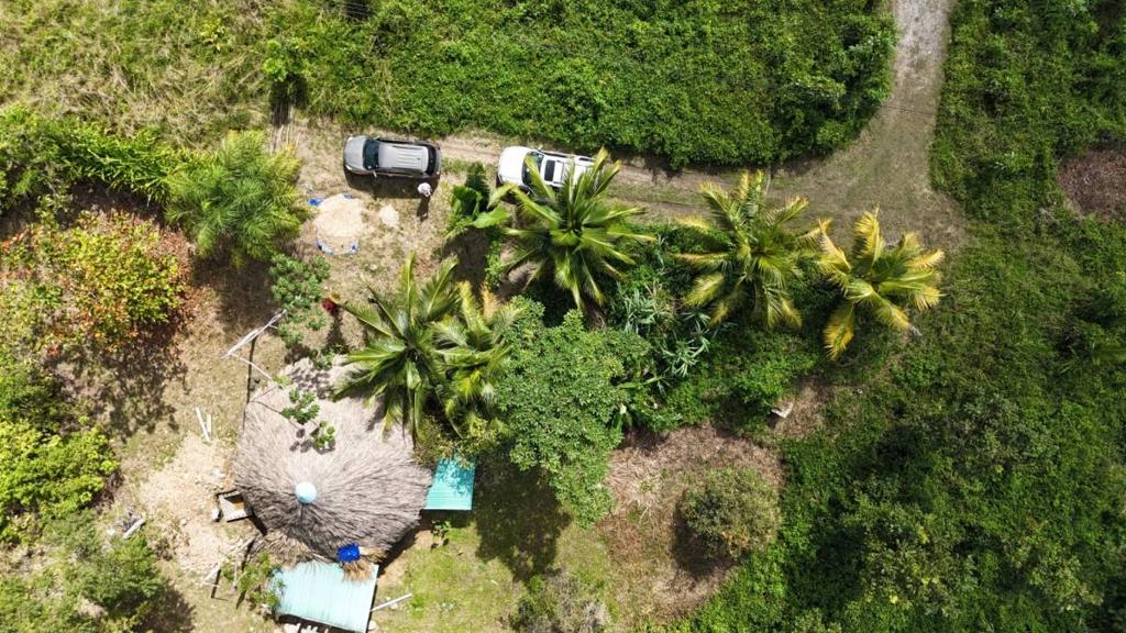 listing image with ID 66140