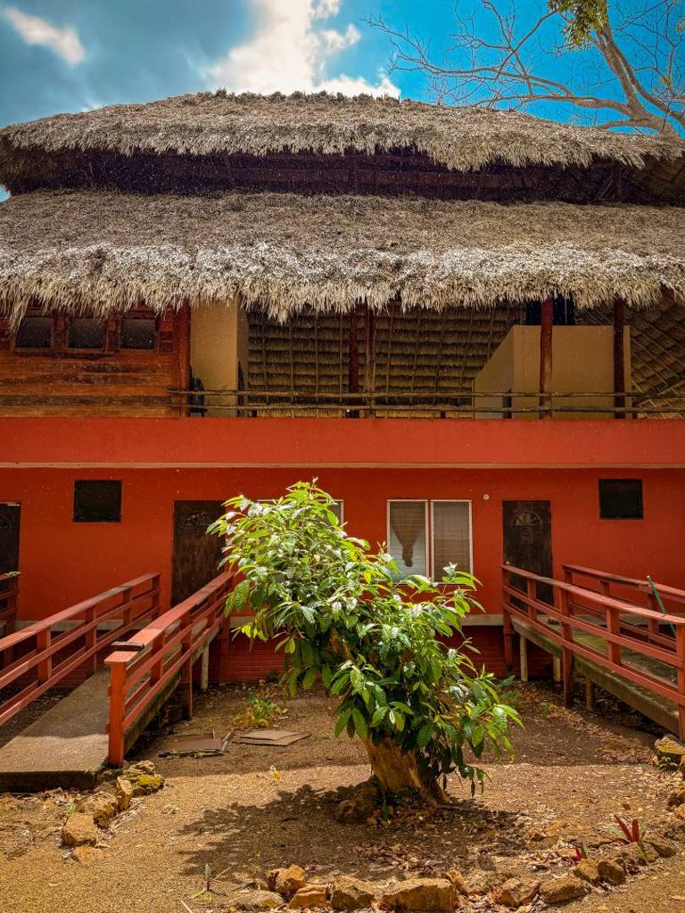 listing image with ID 68986